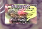 mulberry